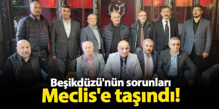 Trabzon Beşikdüzü'nün sorunları Meclis'e taşındı