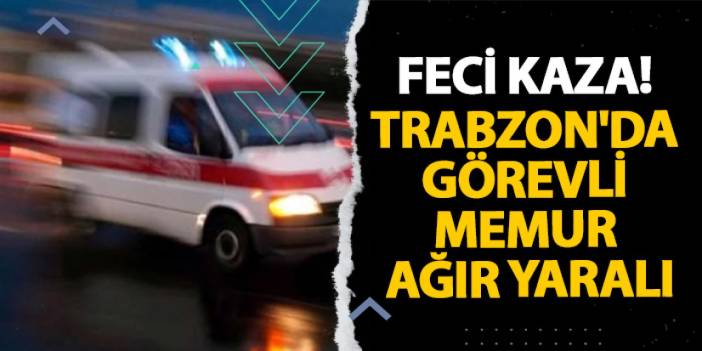 Giresun'da feci kaza! Trabzon'da görevli memur ağır yaralı