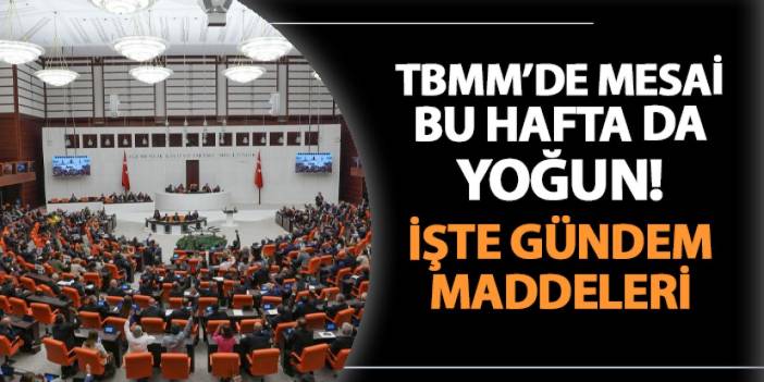 TBMM'de bu hafta mesai yoğun: İşte gündem maddeleri