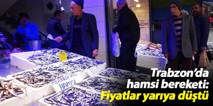 Trabzon’da hamsi bereketi: Fiyatlar yarıya düştü