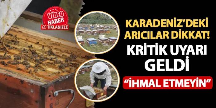 Karadeniz'deki arıcılar dikkat! Kritik uyarı geldi: "İhmal etmeyin"