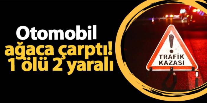 Ordu'da otomobil ağaca çarptı! 1 ölü 2 yaralı