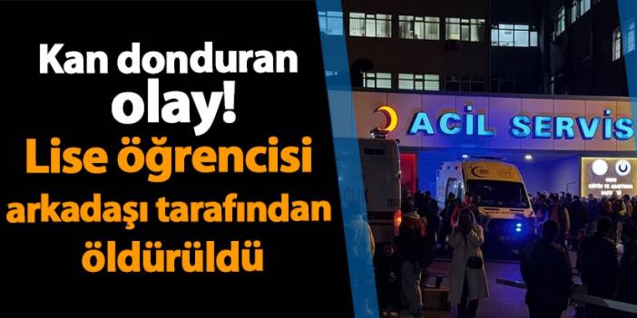 Ordu'da kan donduran olay! Lise öğrencisi arkadaşı tarafından öldürüldü