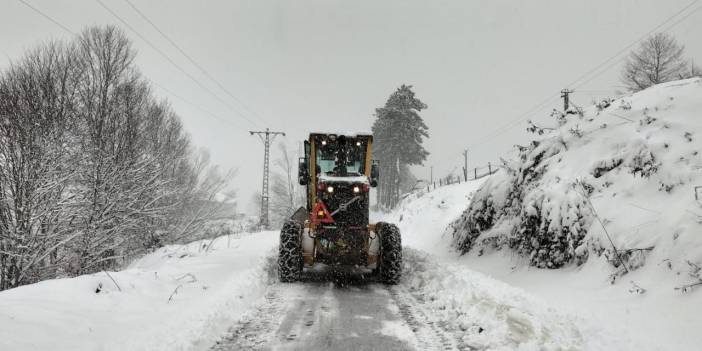 Ordu'da kar yağışı etkili oldu