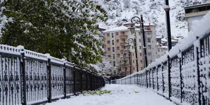 Gümüşhane ilk kar yağışı ile beyaza büründü!