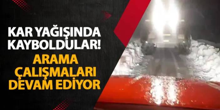 Ordu’da kar yağışında kayboldular! Arama çalışmaları devam ediyor