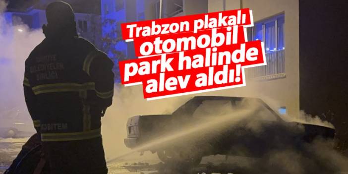 Trabzon plakalı otomobil Gümüşhane’de alev aldı!