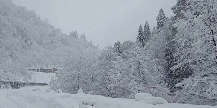 Rize Ayder Yaylası’nda kar kalınlığı 1 metreye ulaştı