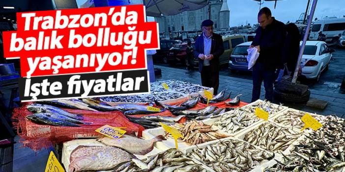 Trabzon’da balık bolluğu yaşanıyor! İşte fiyatlar