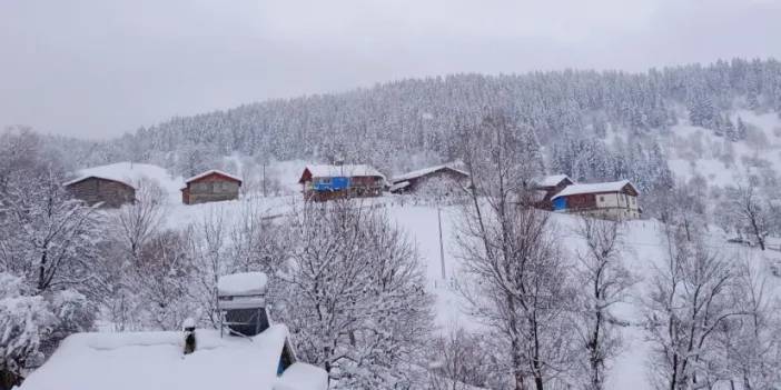 Artvin’de kar kalınlığı 1 metreyi buldu! Gece gündüz çatı temizliyorlar