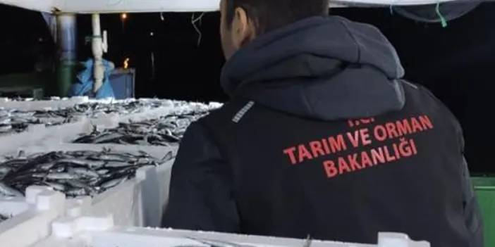 Sinop’ta balıkçılar denetlendi! 10 ton hamsiye el konuldu