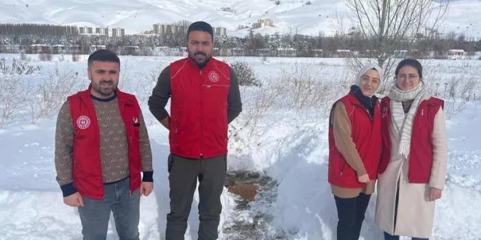 Bayburt Gençlik Merkezi gönüllüleri sokak hayvanlarını unutmadı!