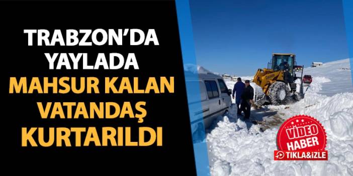 Trabzon'da yaylada mahsur kaldı! Ekipler seferber oldu