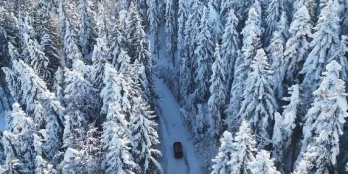 Artvin’in Genya Dağı’nda kış manzaralarından görsel şölen