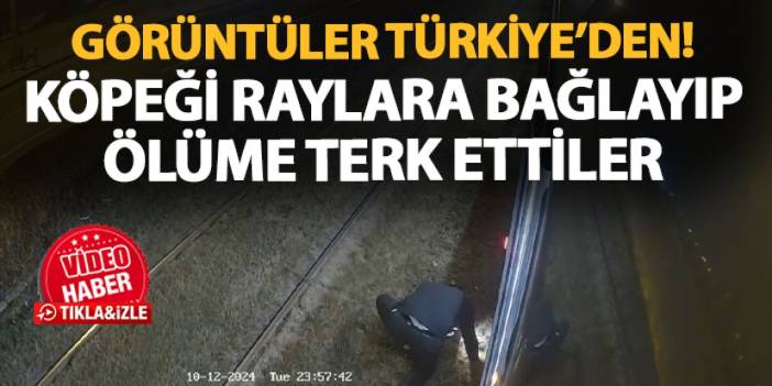 Kayseri'de vicdansızlığın böylesi! Raylara bağlanan köpek ölüme terk edildi