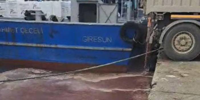 Giresun’da çevre skandalı! Hamsi kamyonu atık suyunu denize boşalttı