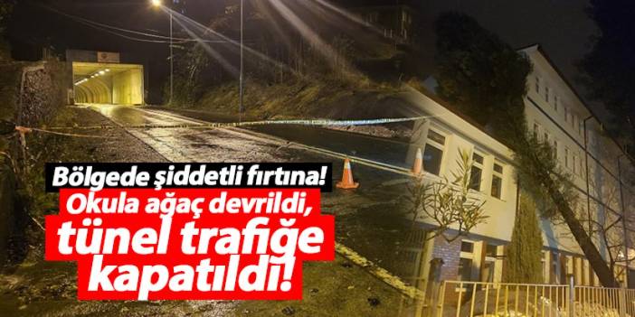 Artvin'de fırtına ve heyelan alarmı: Okula ağaç devrildi, tünel trafiğe kapatıldı!