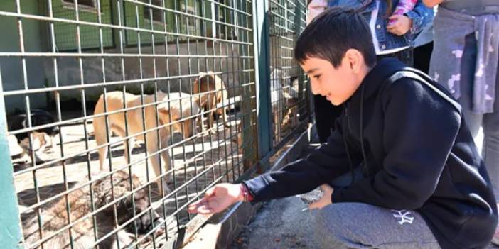 Trabzon’da sahipsiz köpekler sahiplendirildi! “Türkiye’ye örnek olacak”