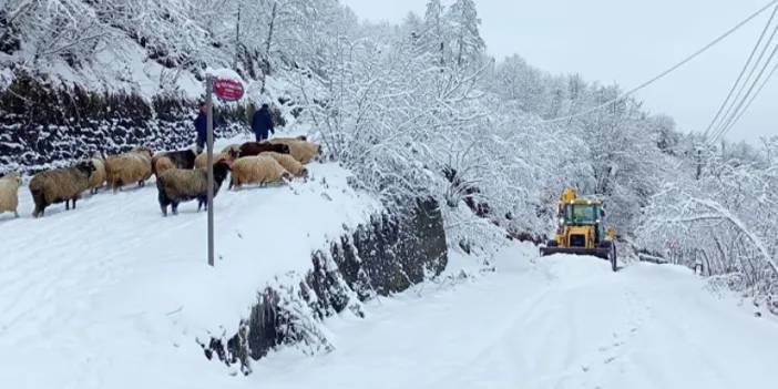 Doğu Karadeniz’de kar ulaşımı vurdu! İşte kapanan yollar