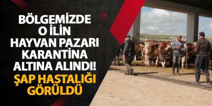 Bayburt’ta hayvan pazarı karantina altına alındı! Şap hastalığı görüldü