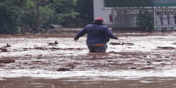 Zehirli çamur Tuna'ya karıştı