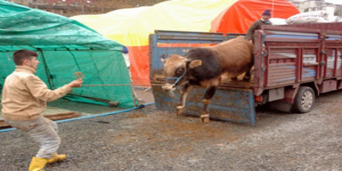 Kurban fiyatları belli oldu