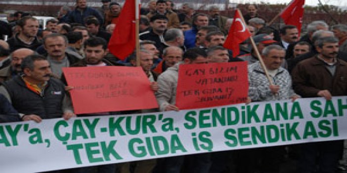 Tek Gıda İş meydana indi