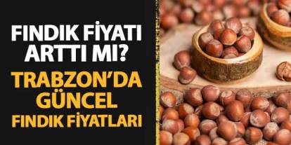 Trabzon'da güncel fındık fiyatı! Kaç lira oldu?