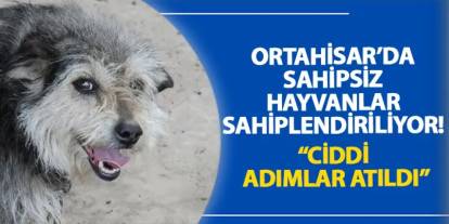 Ortahisar’da sahipsiz hayvanlar sahiplendiriliyor! “Ciddi adımlar atıldı”