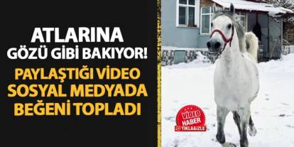 Bayburt'ta atlarına gözü gibi bakıyor! Paylaştığı video sosyal medyada beğeni topladı