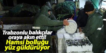 Trabzonlu balıkçılar oraya akın etti! Hamsi bolluğu yüz güldürüyor