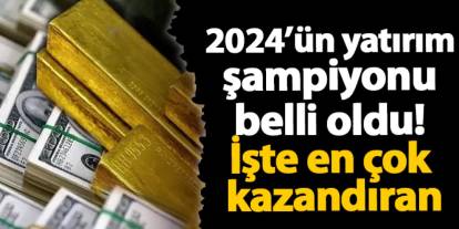 2024’ün yatırım şampiyonu belli oldu! İşte en çok kazandıran