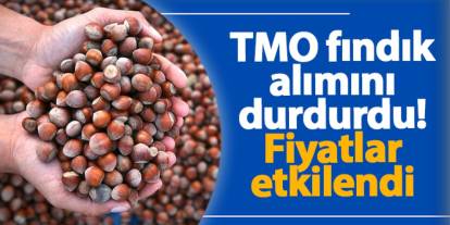 TMO fındık alımını durdurdu! Serbest piyasada fiyatlar sabitlendi