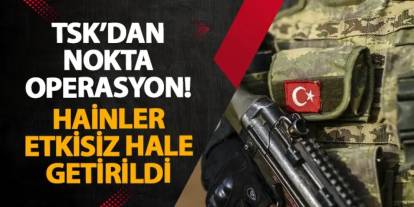 TSK’dan nokta operasyon! Hainler etkisiz hale getirildi