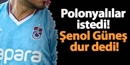 Polonyalılar istedi! Şenol Güneş dur dedi!