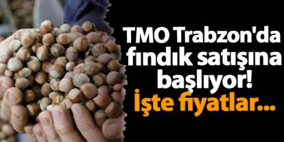 TMO Trabzon'da fındık satışına başlıyor! İşte fiyatlar...