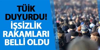 TÜİK duyurdu! İşsizlik rakamları belli oldu