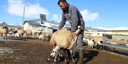 Bayburt’ta besicilerin zorlu kış mesaisi!