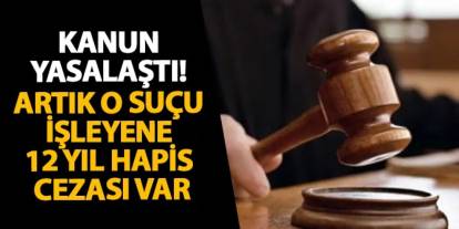 Kanun yasalaştı! Artık o suçu işleyene 12 yıl hapis cezası var