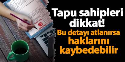 Tapu sahipleri dikkat!  Bu detayı atlarsa haklarını kaybedebilir