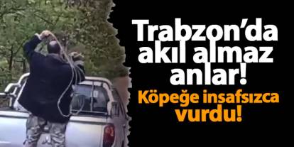 Trabzon’da akıl almaz anlar! Köpeğe insafsızca vurdu!