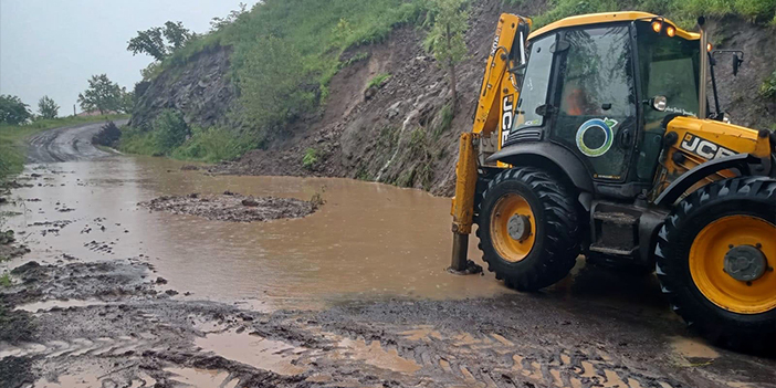 Ordu'da iki günde 94 heyelan oldu