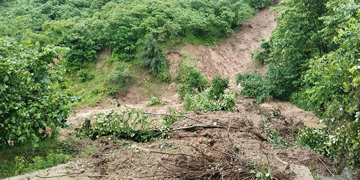 Ordu'da iki günde 94 heyelan oldu