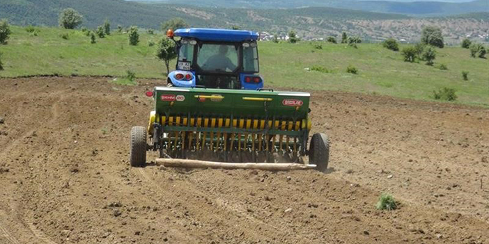 Gümüşhane'de karabuğday ekim sezonu başladı