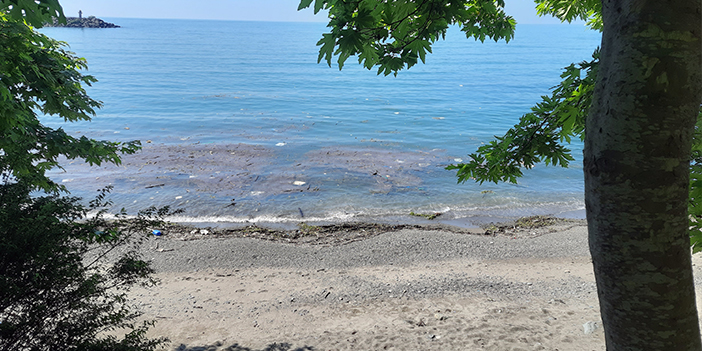 Trabzon'da olumsuz hava şartları sonrası sahiller çöple doldu