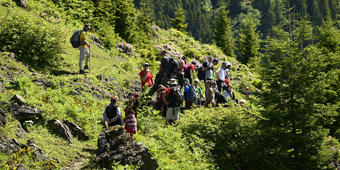 Giresun'da 'otçu göçü' canlandırıldı