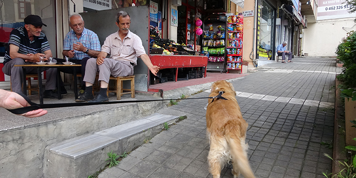 Trabzon'da köpek ile sahibinin dostluğu görenleri gülümsetiyor