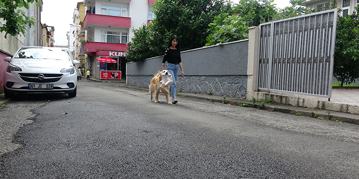 Trabzon'da köpek ile sahibinin dostluğu görenleri gülümsetiyor