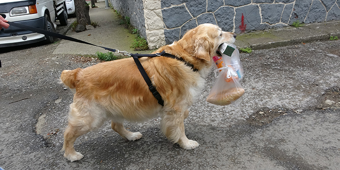 Trabzon'da köpek ile sahibinin dostluğu görenleri gülümsetiyor