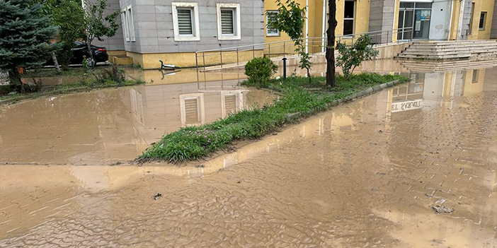 Artvin'de sağanak hayatı olumsuz etkiledi